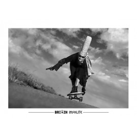 Carte Postale Breizh Insolite Longskate N 39