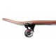 Skate Complet Birdhouse Falcon 2 8.0" Red