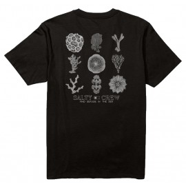Men's SALTY CREW Coral Head Black T-Shirt