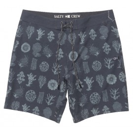 Boardshort SALTY CREW Crew Magnet