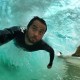 Palmes DaFin Signature Zak Noyle Mystery
