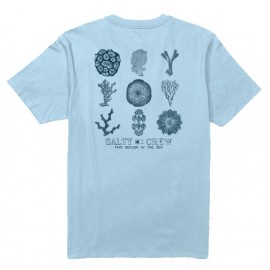 Men's SALTY CREW Coral Head Clear Sky T-Shirt