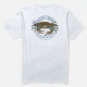 Men's T-Shirt SALTY CREW Jimmy White