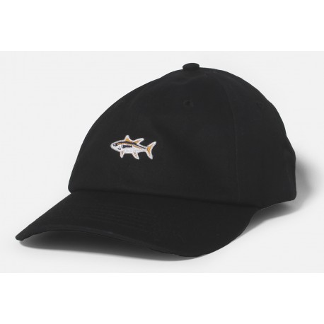 Casquette Salty Crew Fishsticks Dad Cap Black