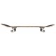 Skate Complet Birdhouse Falcon III 7.75" Black