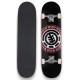 Skate Complet Element Seal 8.25"