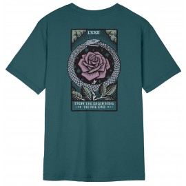 Tee Shirt Femme Santa Cruz Delphino Eternal Deep Sea